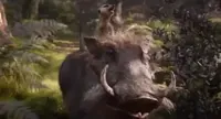The Lion King Disney GIF