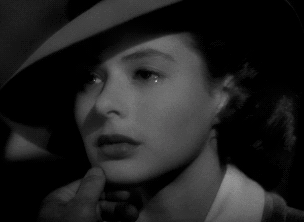 thecoolidge  GIF
