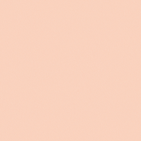 Ria_EuropeDesign  GIF