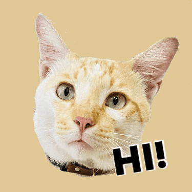 krlbrands  GIF