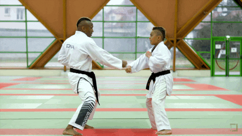 karatecombat  GIF