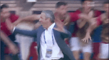 euro 2016 GIF by Sporza