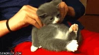 Massage GIF by Cheezburger