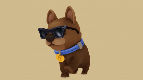 team17  GIF