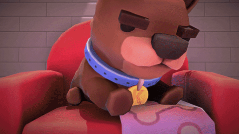 team17  GIF