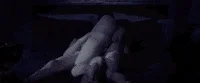Sexy Gif Hot Sex GIF by Lil Dicky