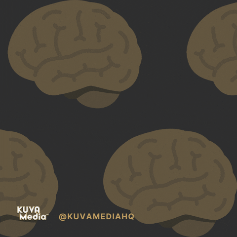 kuvamediahq  GIF