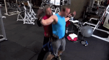 cmt GIF by The Ed Bassmaster Show