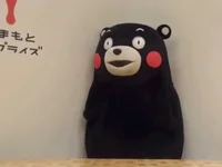 This Is Not A Kumamon Blog No GIF