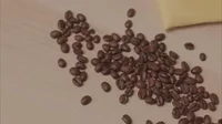 Cup Of Coffee GIF by GIPHY Studios 2021