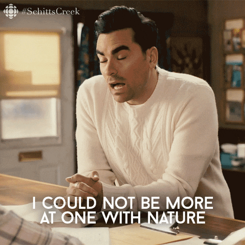 cbc  GIF