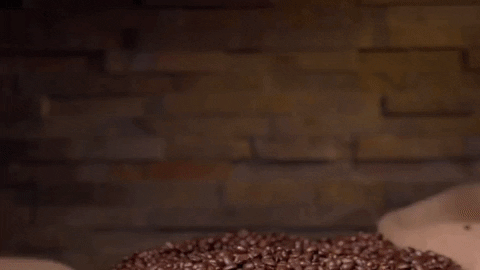 deathwishcoffee  GIF