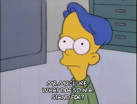 season 9 GIF