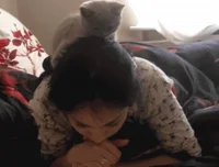 Cats Books GIF