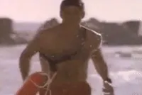 The Hoff GIF