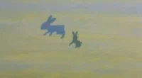 1978 GIF