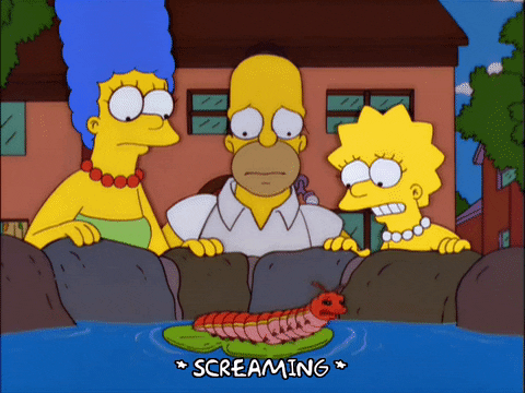 scared homer simpson GIF