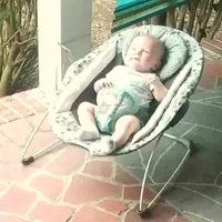Puppies Babies GIF