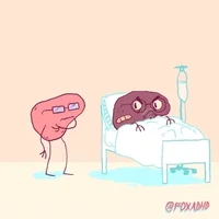 Animation Domination Fox Gif By gif