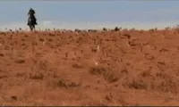 Lonesome GIF