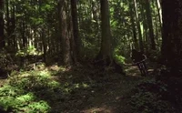 Mountain GIF