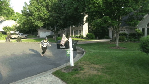 meanbeanprod  GIF