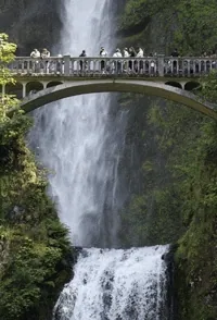 Multnomah Falls Photography GIF by hateplow