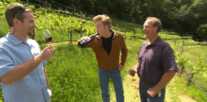 teamcoco  GIF