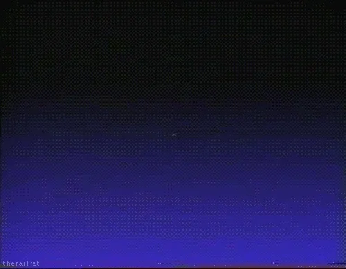 Kiss My Ass GIF