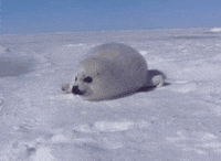 baby stuff GIF
