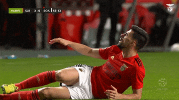 GIF by Sport Lisboa e Benfica