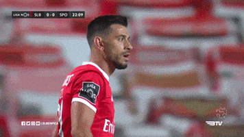 Sl Benfica Slbgif GIF by Sport Lisboa e Benfica