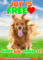 Joy Share Love Free Pj Petjuvenate GIF by PetJuvenate - PJ