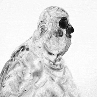 animation loop GIF by Pierre-Julien Fieux