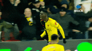 Happy Premier League GIF by MolaTV