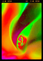 fire love GIF by Re Modernist