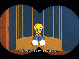 looney tunes tweety GIF