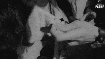 contemporary art GIF by PBS