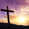 Jesus Christ Peace GIF by FirstCry Parenting via giphy.com