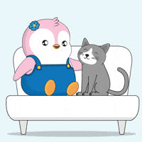 Cat Day GIF by Pudgy Penguins