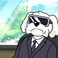 Excited Lets Go GIF by BoDoggos