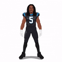 Keep Pounding Carolina Panthers GIF by SportsManias