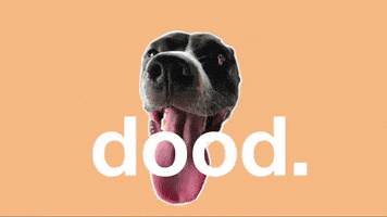 dog save them all GIF by Best Friends Animal Society