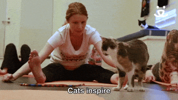 Best Friends Nkla GIF by Best Friends Animal Society