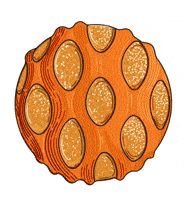 Paris Croissant GIF by Cedric Grolet