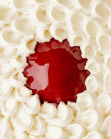 GIF by Cedric Grolet