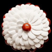 Patisserie Pastrychef GIF by Cedric Grolet