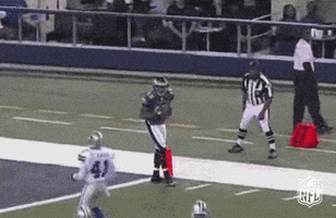 philadelphia eagles GIF by NFL