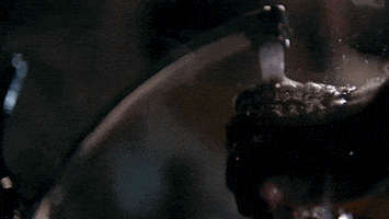 #netflix GIF by Bloodline