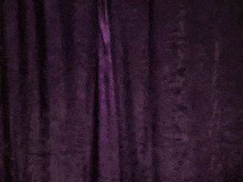 Good Morning GIF by GIPHY Studios 2021